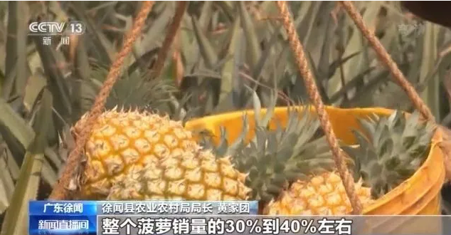 1617167736768901.png image.png