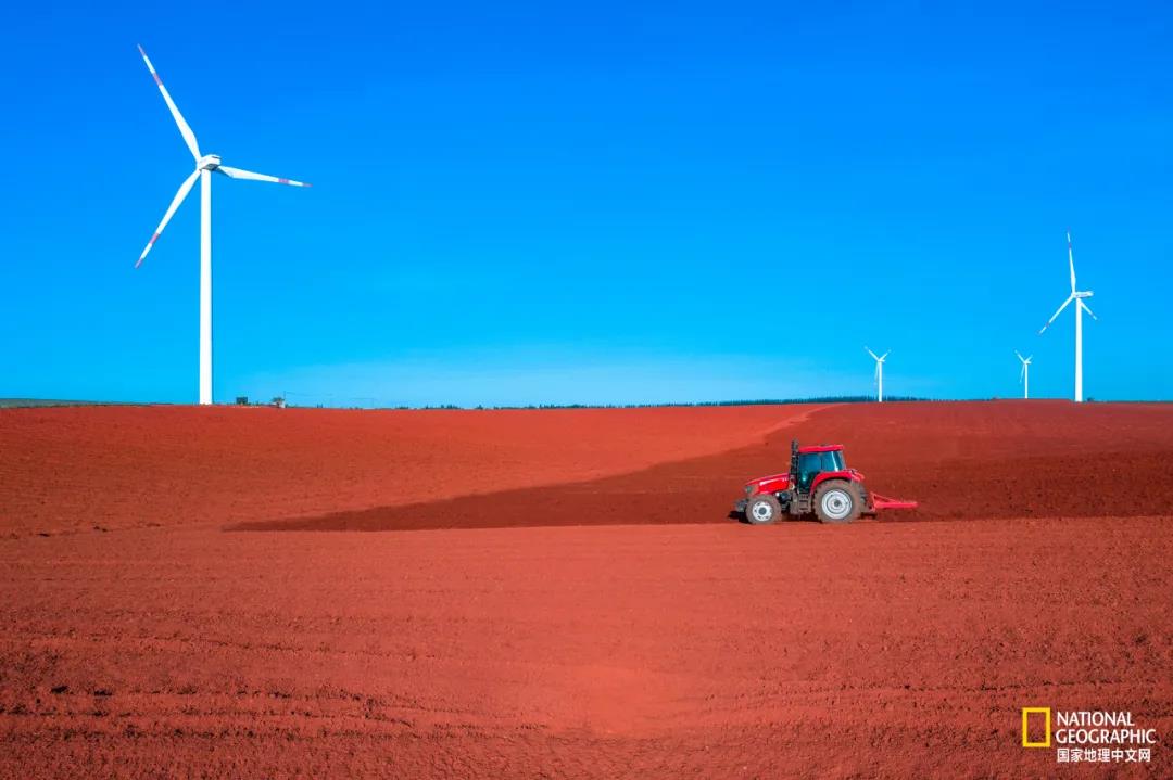 红土是湛江的底色历经万年演变,火山岩风化成砖红土壤和红色泥沙,这种