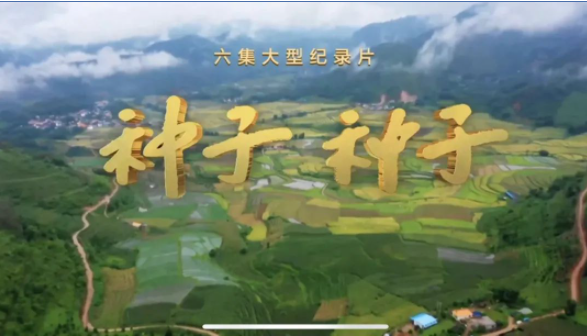 1646376455780765.png image.png