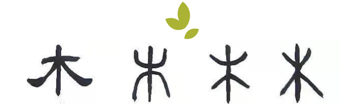 1647066880586504.png image.png