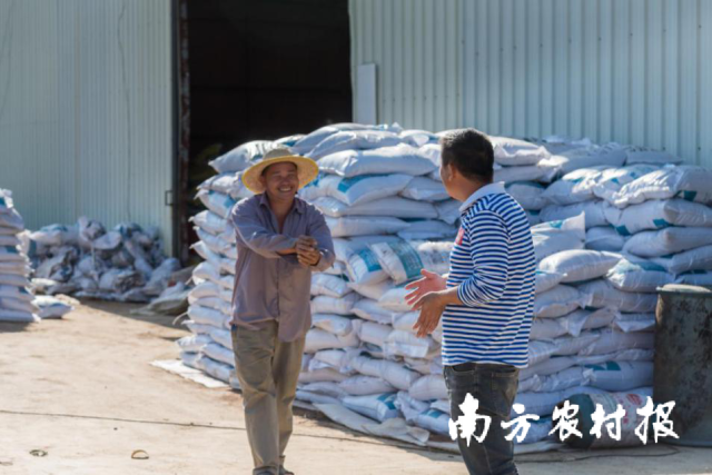 南方农村报杨吉龙拍摄