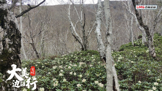 1655717322937030.png image.png