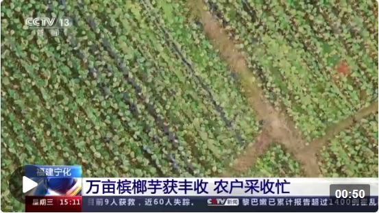 1667440672648923.png image.png