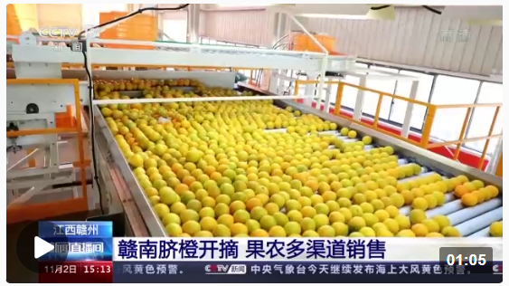 1667440698454859.png image.png