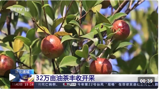 1667440730388445.png image.png