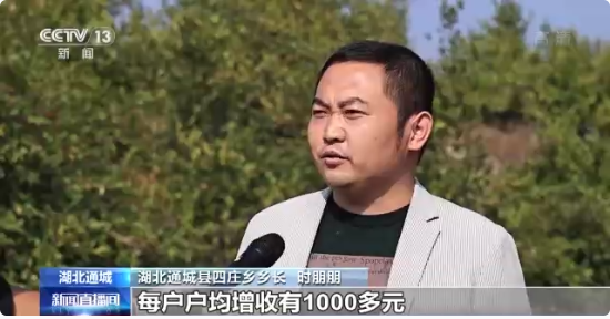 1667440739221240.png image.png