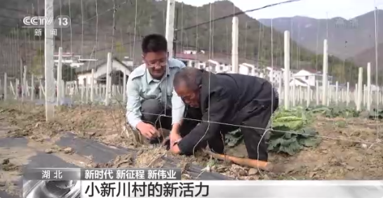1670059059147138.png image.png