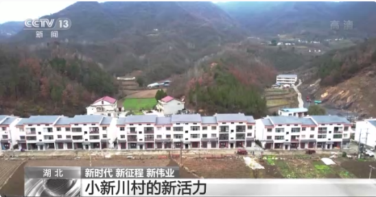 1670059072677446.png image.png