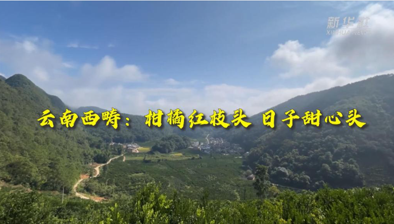 1670682900453327.png image.png