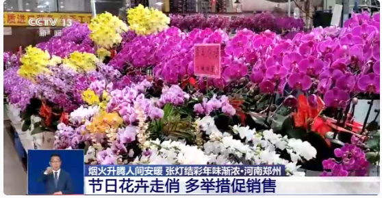1673231909617777.png image.png
