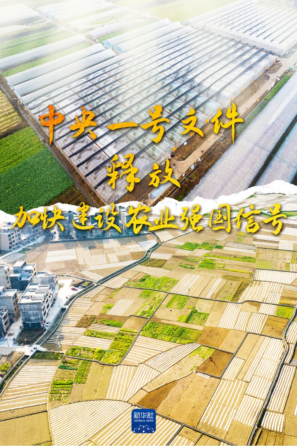 权威部门话开局 | 中央一号文件释放加快建设农业强国信号 - 中国