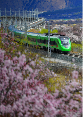 1680066292864124.png image.png
