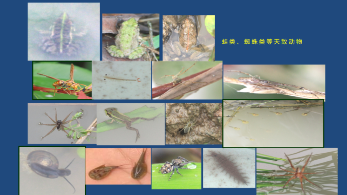 1684633238996237.png image.png