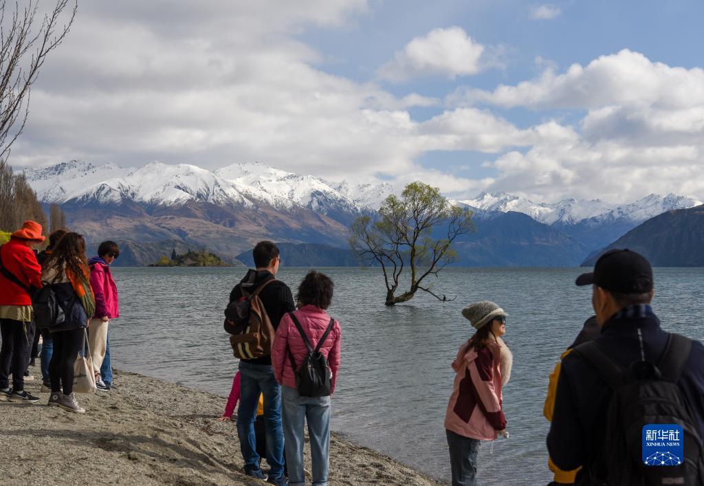 共话中国经济新机遇丨综述新西兰迎来中国黄金周游客回归