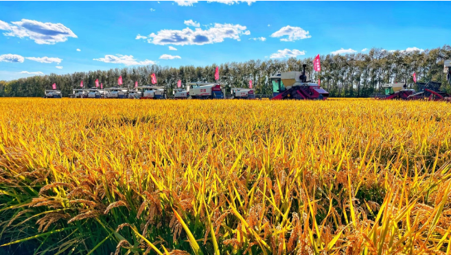粮仓好丰景丨金秋十月赴一场丰收之约