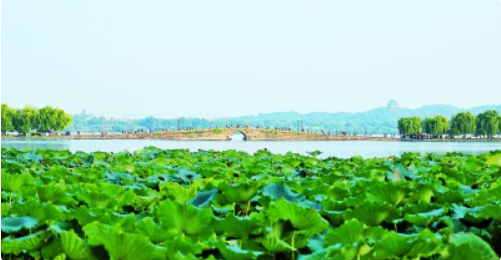 1696578517908395.png image.png