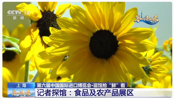 1699364066639744.png image.png