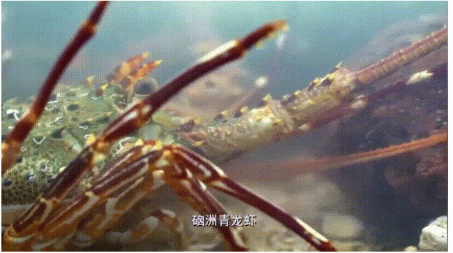 1704697127622509.png image.png