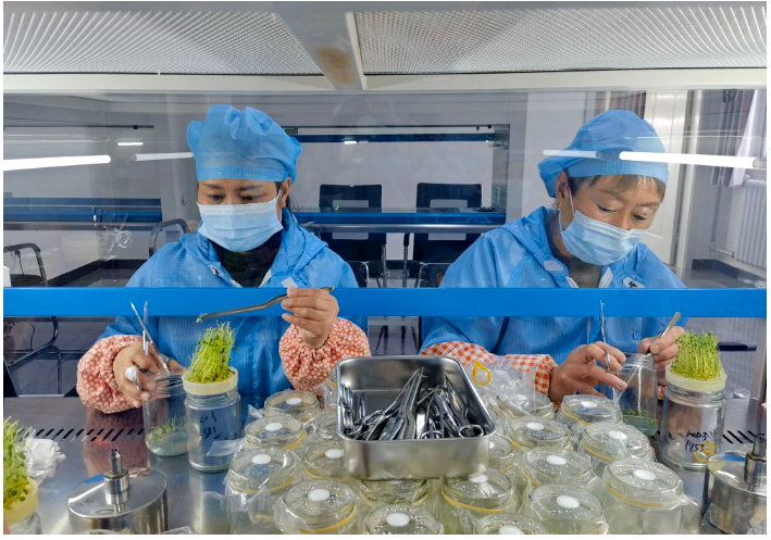 1707265910817081.png image.png