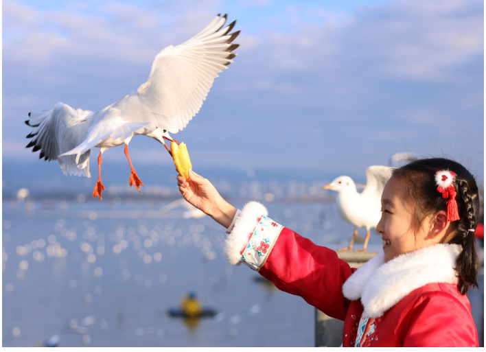 1707265995509729.png image.png