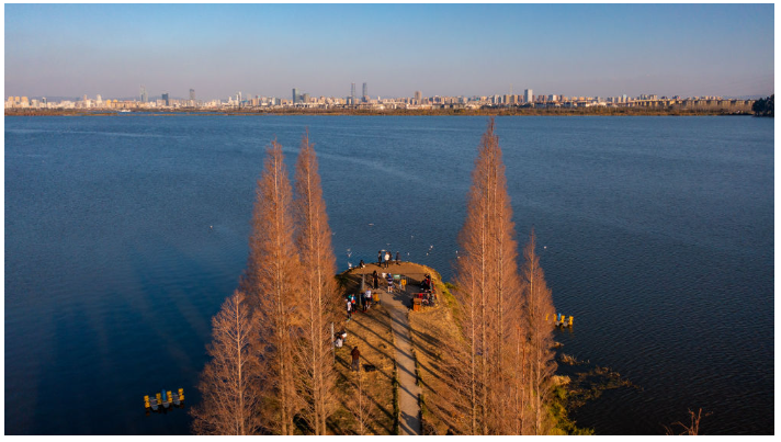 1707266006753430.png image.png