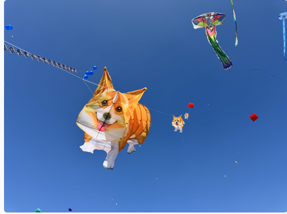 1714013544406275.png image.png