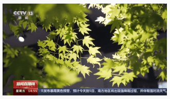 1714741374756199.png image.png
