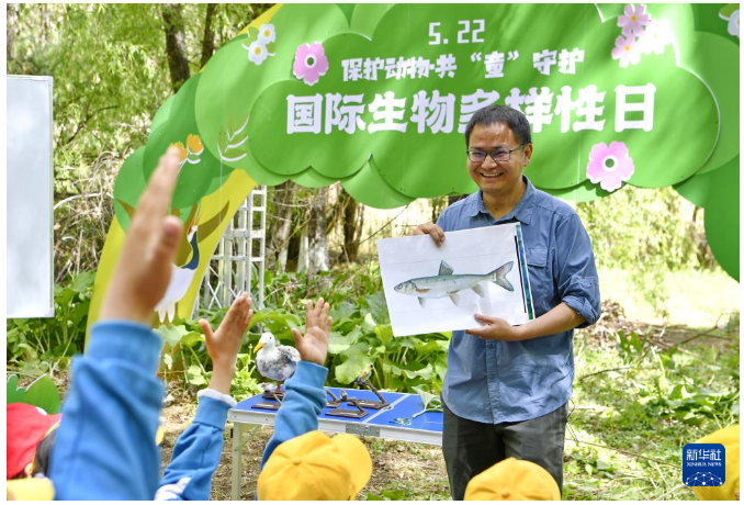 自然教育：让孩子与自然共舞
