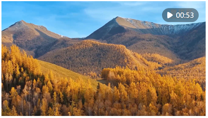 1729338579441183.png image.png