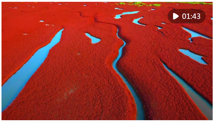 1729338590695760.png image.png