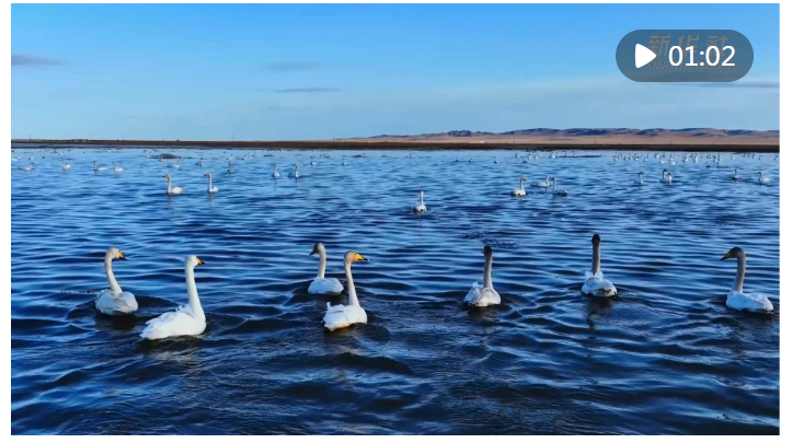 1729338601247578.png image.png