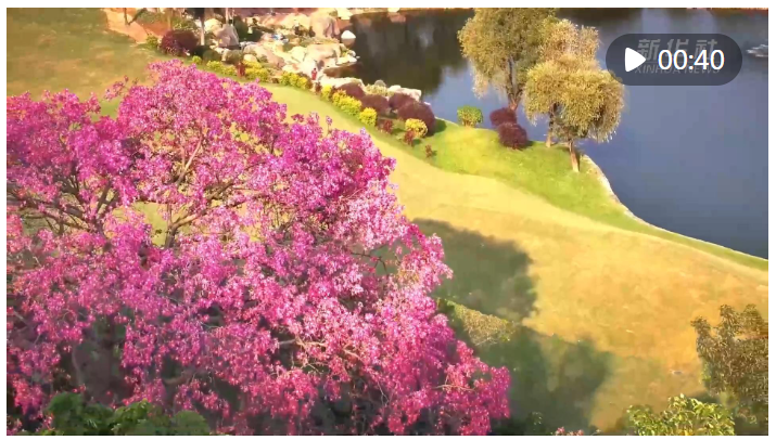 1729338617340969.png image.png