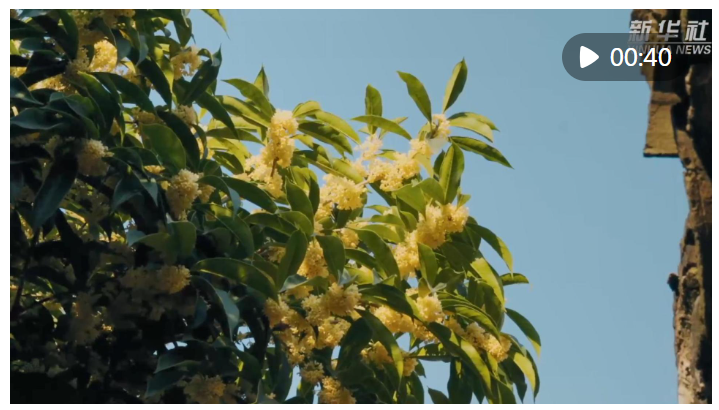 1729338627539973.png image.png