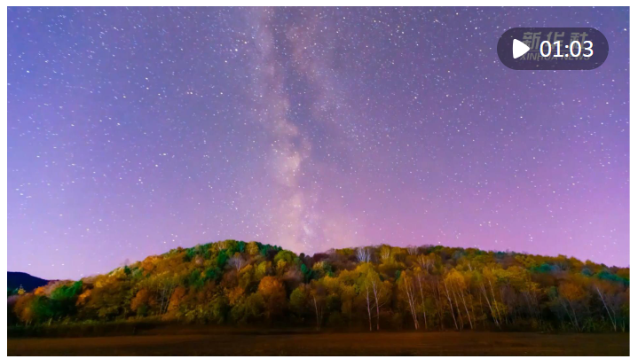 1729338638832740.png image.png