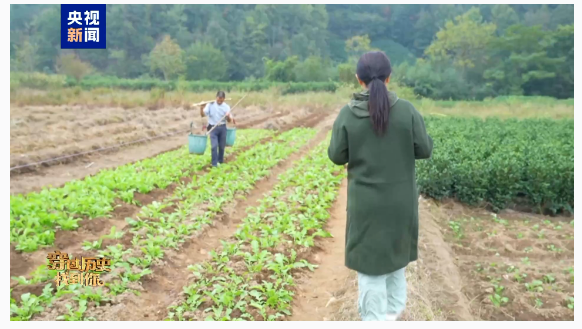 1729735737551297.png image.png