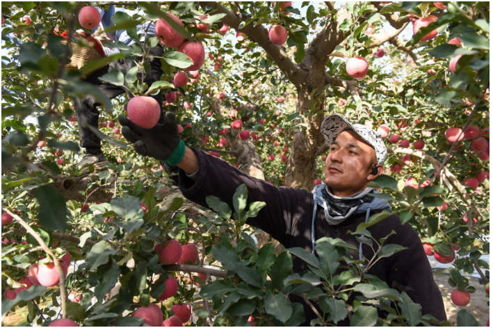 1730207640705134.png image.png