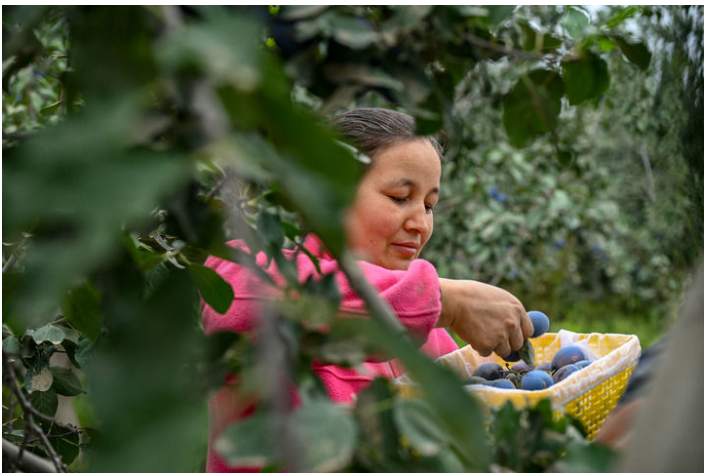 1730207682715134.png image.png