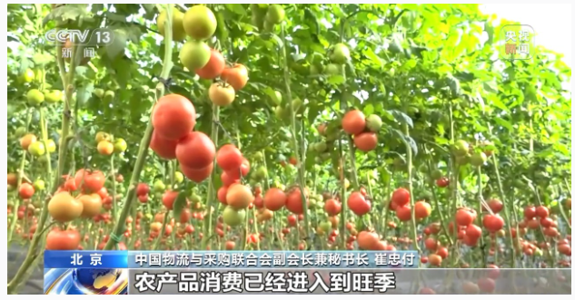 1732247233513722.png image.png