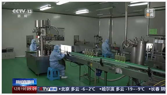 1734612462606909.png image.png