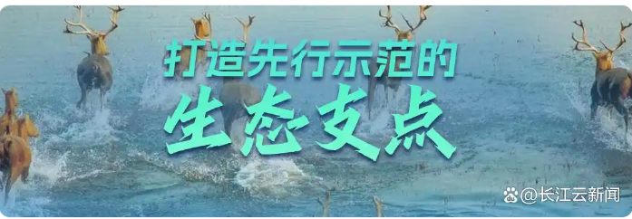 1741322542925275.png image.png