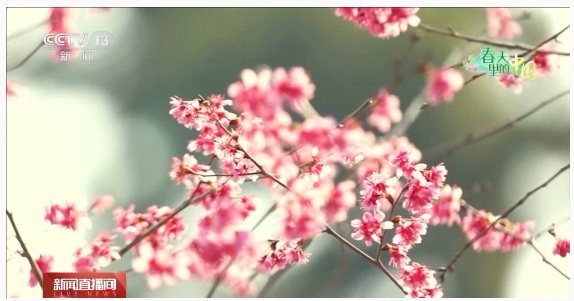 1741683243375354.png image.png