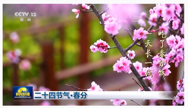1742522328778349.png image.png