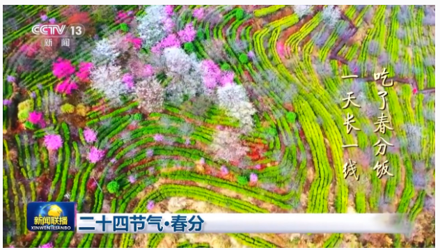 1742522334326354.png image.png