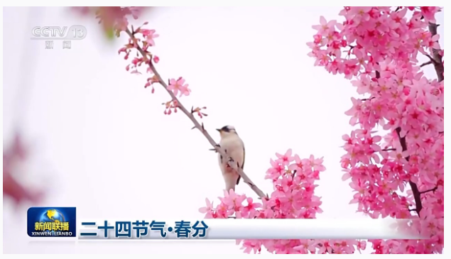 1742522339893254.png image.png