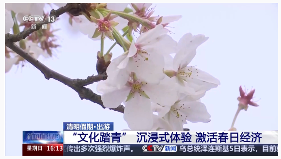 1744019953255599.png image.png