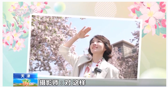 1744200103700349.png image.png