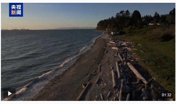 1745027951442540.png image.png