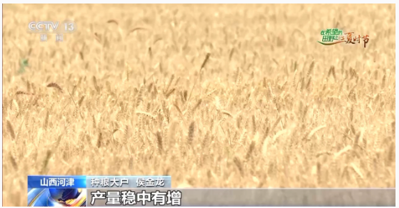 1749627376226762.png image.png