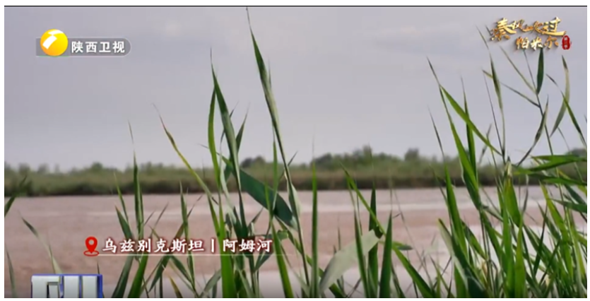 1750300321222456.png image.png