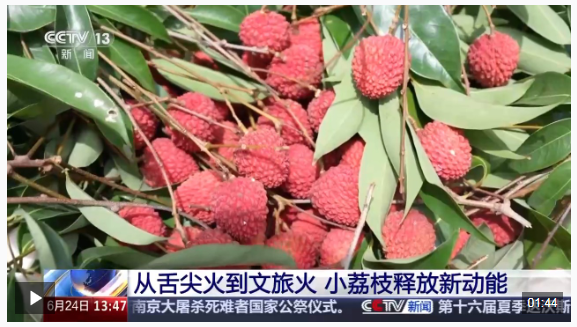 1750856165842823.png image.png